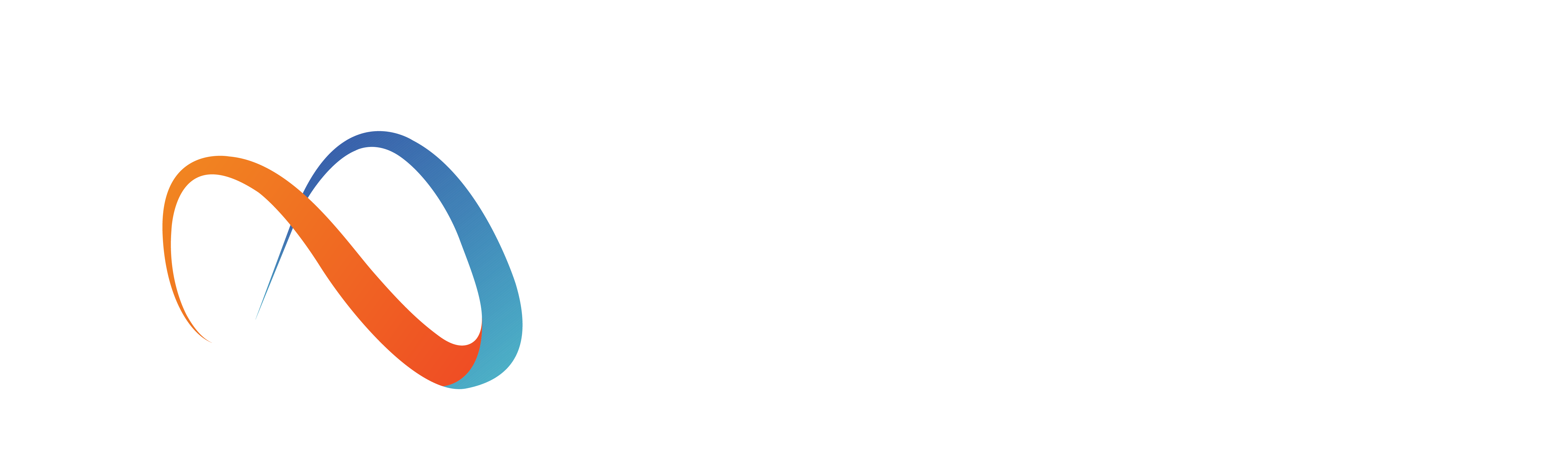 Premium Signature Logo